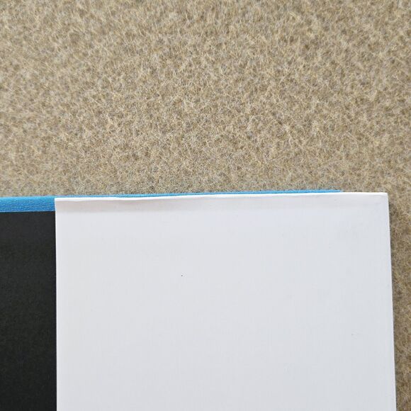 The Work of Art: A JLF Associates and Big-D Signature Collaboration Book - GOOD - Picture 13 of 14